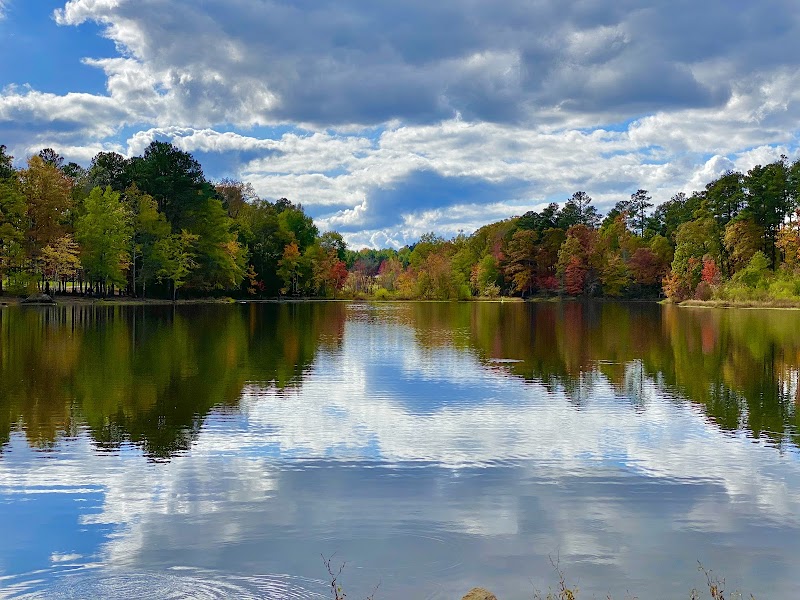 Crabtree Creek Mitigation Project