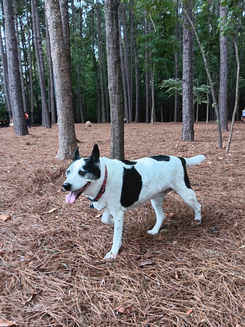Morrisville Dog Park